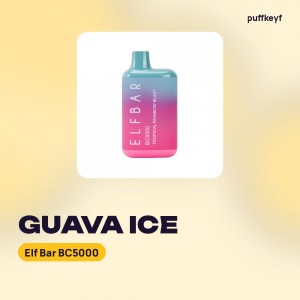 Elf Bar BC5000 Guava Ice