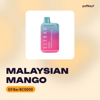 Elf Bar BC5000 Malaysian Mango