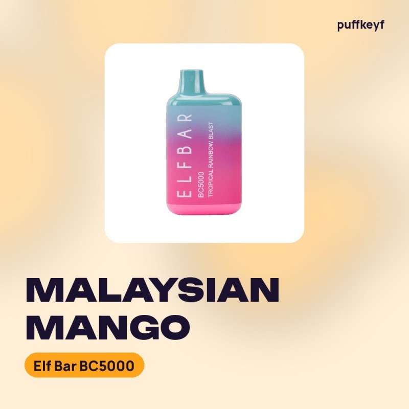 Elf Bar BC5000 Malaysian Mango