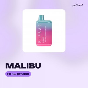 Elf Bar BC5000 Malibu