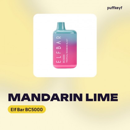 Elf Bar BC5000 Mandarin Lime