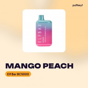 Elf Bar BC5000 Mango Peach