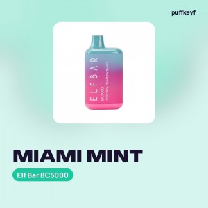 Elf Bar BC5000 Miami Mint