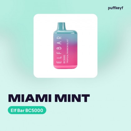 Elf Bar BC5000 Miami Mint