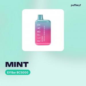 Elf Bar BC5000 Mint