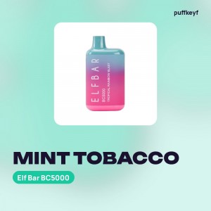 Elf Bar BC5000 Mint Tobacco