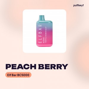 Elf Bar BC5000 Peach Berry