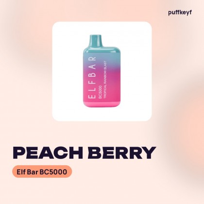 Elf Bar BC5000 Peach Berry