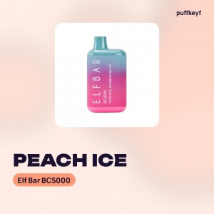 Elf Bar BC5000 Peach Ice