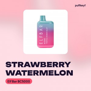 Elf Bar BC5000 Strawberry Watermelon