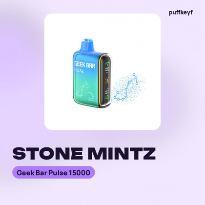 Geek Bar Pulse 15000 Stone Mintz
