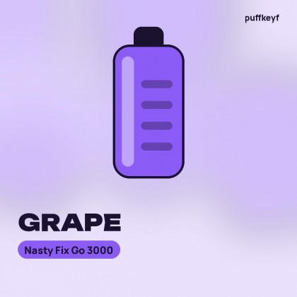 Nasty Fix Go 3000 Grape