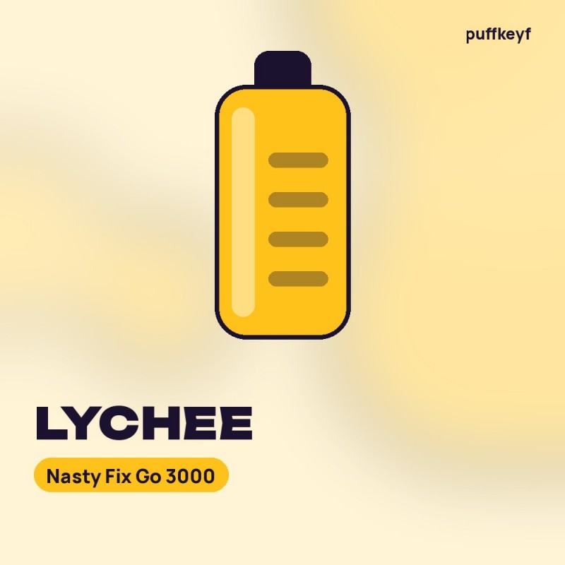 Nasty Fix Go 3000 Lychee