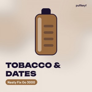 Nasty Fix Go 3000 Tobacco & Dates