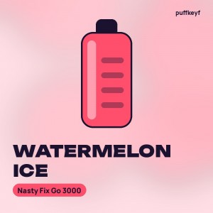 Nasty Fix Go 3000 Watermelon Ice