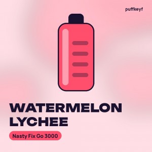 Nasty Fix Go 3000 Watermelon Lychee