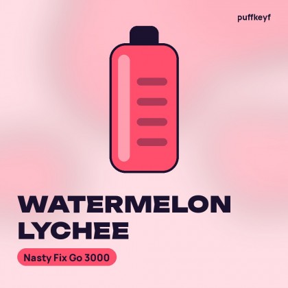 Nasty Fix Go 3000 Watermelon Lychee