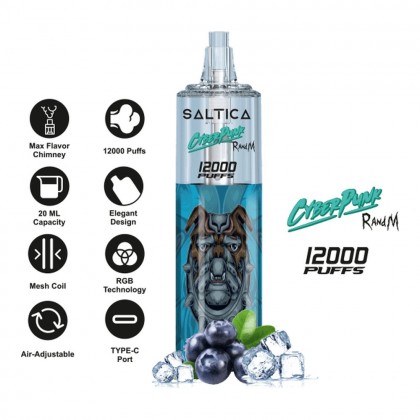 Saltica Cyberpunk 12000 Blueberry Ice