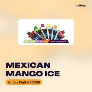 Saltica Digital 20000 Mexican Mango Ice