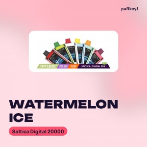 Saltica Digital 20000 Watermelon Ice