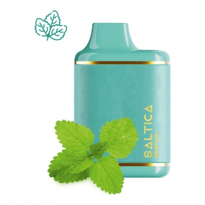 Saltica Leather 7000 Menthol Zero