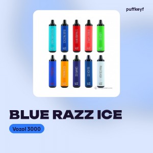 Vozol 3000 Blue Razz Ice