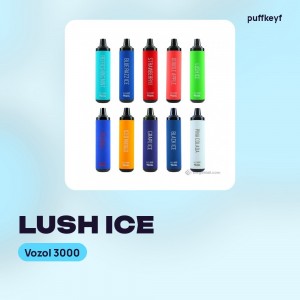 Vozol 3000 Lush Ice