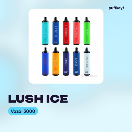 Vozol 3000 Lush Ice