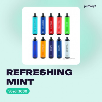 Vozol 3000 Refreshing Mint