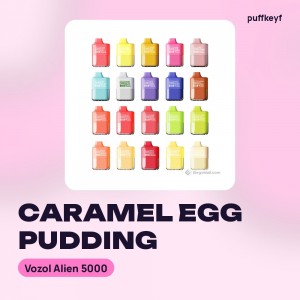 Vozol Alien 5000 Caramel Egg Pudding