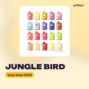 Vozol Alien 5000 Jungle Bird