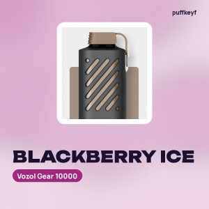 Vozol Gear 10000 Blackberry Ice