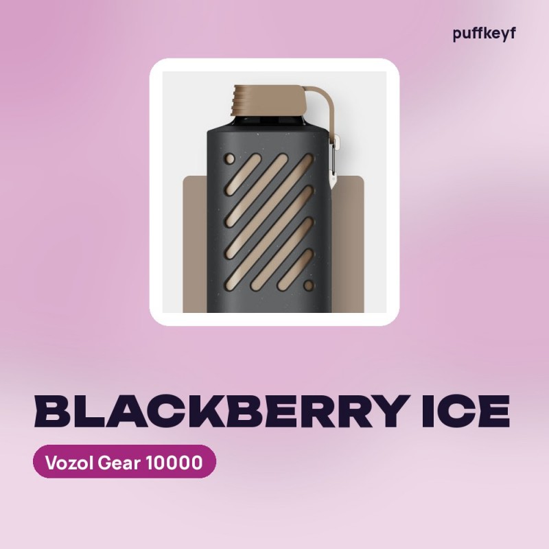 Vozol Gear 10000 Blackberry Ice