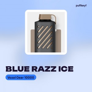 Vozol Gear 10000 Blue Razz Ice
