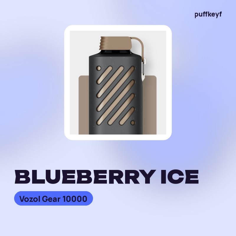 Vozol Gear 10000 Blueberry Ice