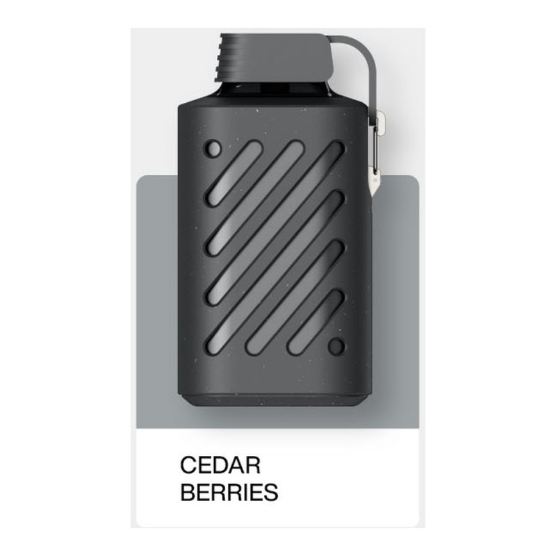 Vozol Gear 10000 Cedar Berries