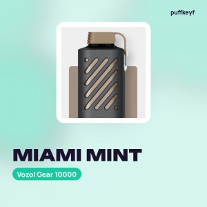 Vozol Gear 10000 Miami Mint