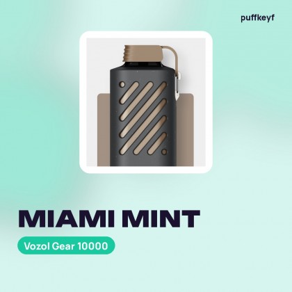 Vozol Gear 10000 Miami Mint