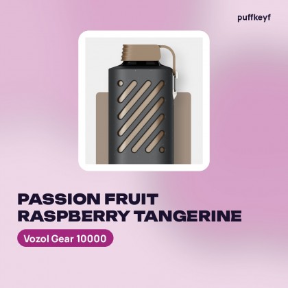 Vozol Gear 10000 Passion Fruit Raspberry Tangerine