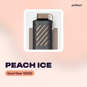 Vozol Gear 10000 Peach Ice