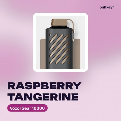 Vozol Gear 10000 Raspberry Tangerine