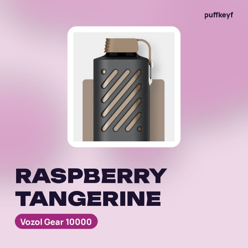 Vozol Gear 10000 Raspberry Tangerine