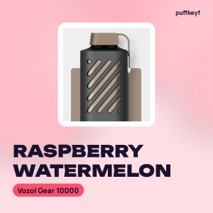 Vozol Gear 10000 Raspberry Watermelon