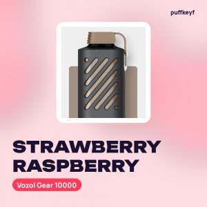 Vozol Gear 10000 Strawberry Raspberry