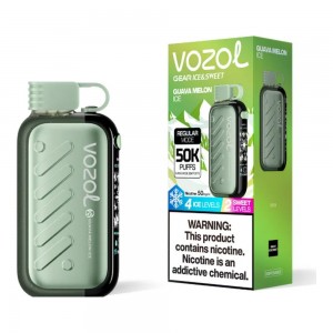 Vozol Gear 50000 Guava Melon Ice