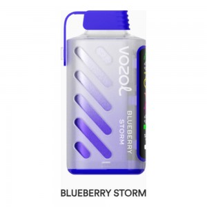 Vozol Gear Power 20000 Blueberry Storm