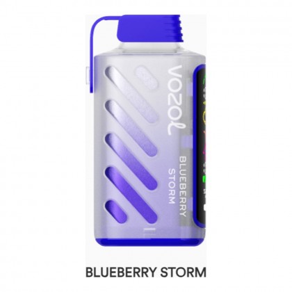 Vozol Gear Power 20000 Blueberry Storm