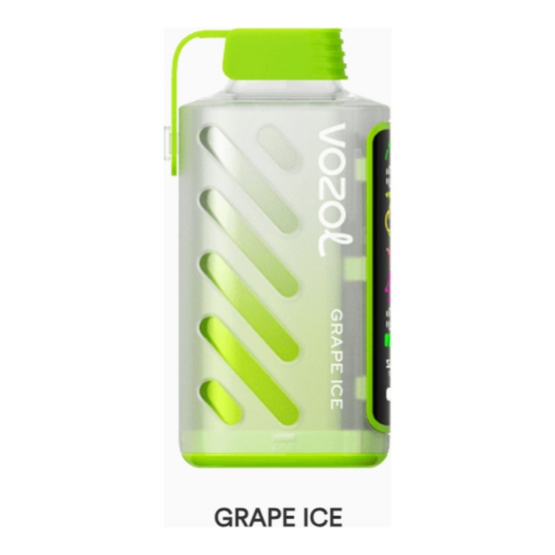 Vozol Gear Power 20000 Grape Ice