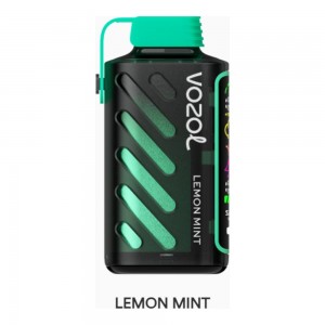 Vozol Gear Power 20000 Lemon Mint