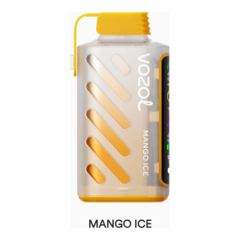 Vozol Gear Power 20000 Mango Ice